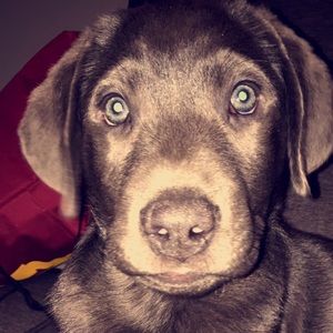 Meet your Posher, Kamiah